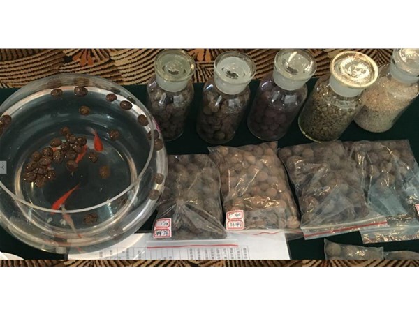 填埋？堆肥？焚燒？泥咋不去做陶粒呢